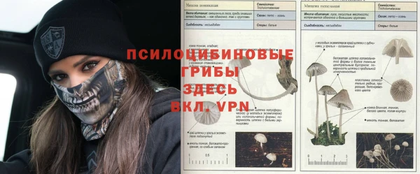 первитин Алексеевка
