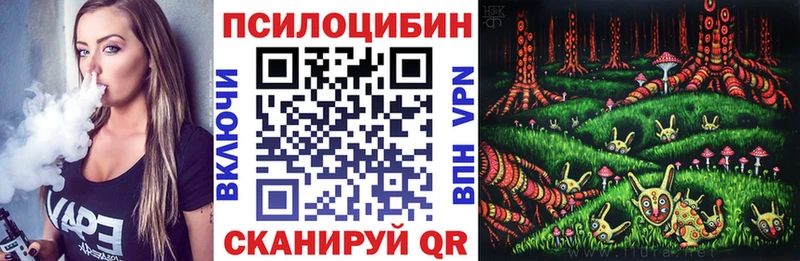 Галлюциногенные грибы Psilocybine cubensis  ОМГ ОМГ ONION  Ковылкино  как найти  